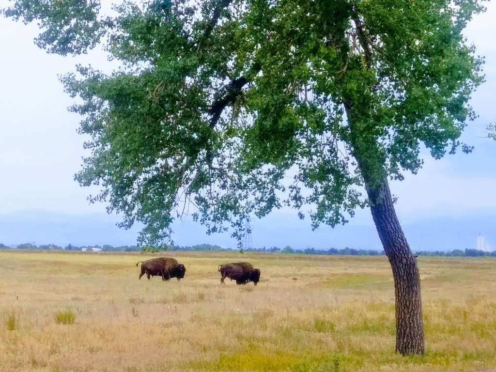 Rocky Mountain Arsenal National Wildlife Refuge | 6550 Gateway Rd, Commerce City, CO 80022, USA | Phone: (303) 289-0930