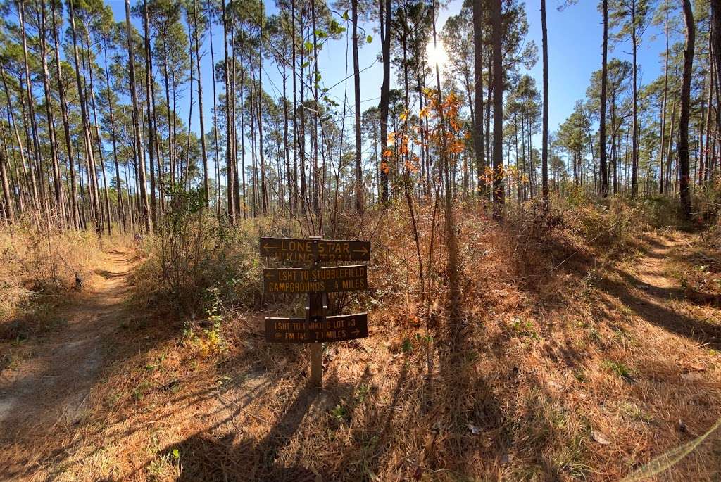 Lone Star Trail Trailhead #6 | Montgomery, TX 77356, USA