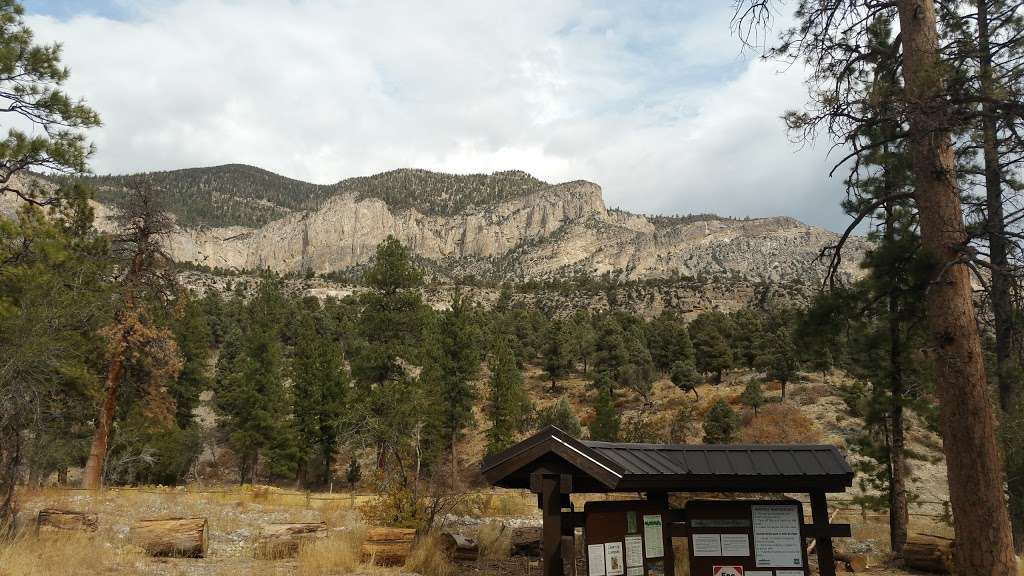 Fletcher View Campgrounds | Mt Charleston, NV 89124, USA | Phone: (702) 872-5577