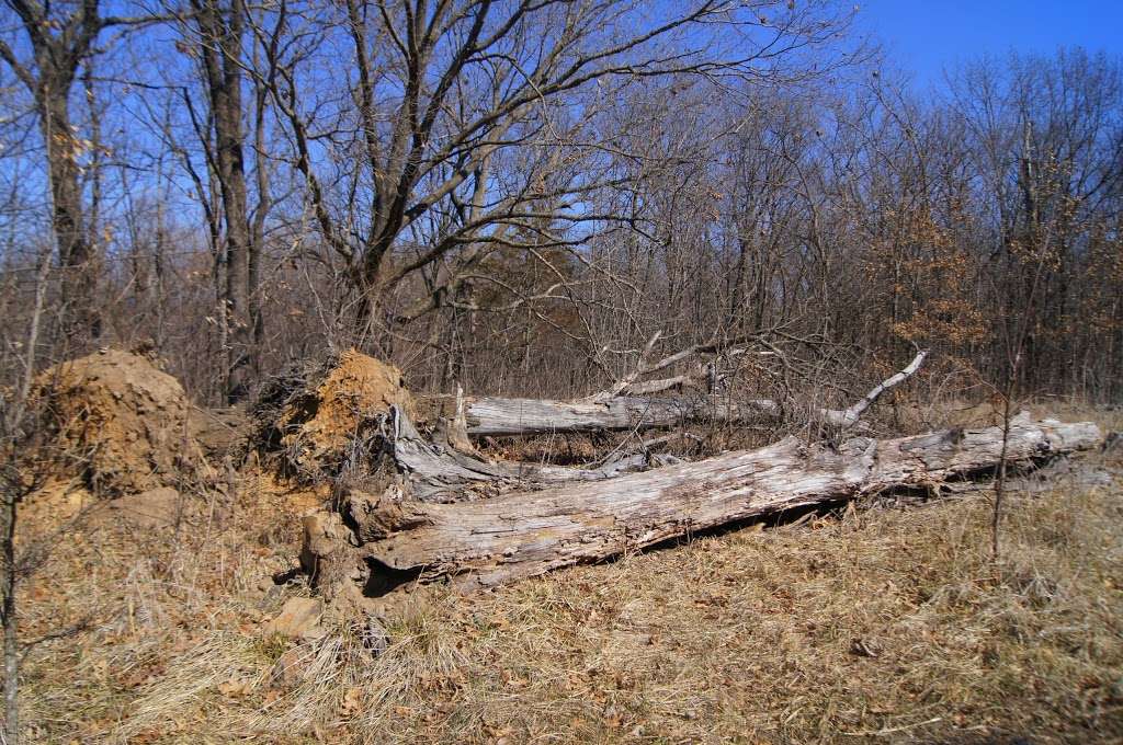 Ralph and Martha Perry Memorial State Wildlife Area Concordia, MO 64020