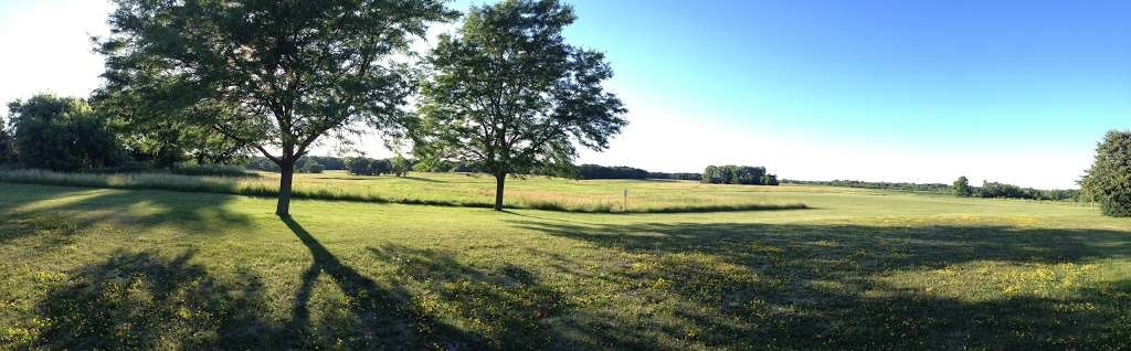 Grassy Ridge Meadow | Hoffman Estates, IL 60192, USA