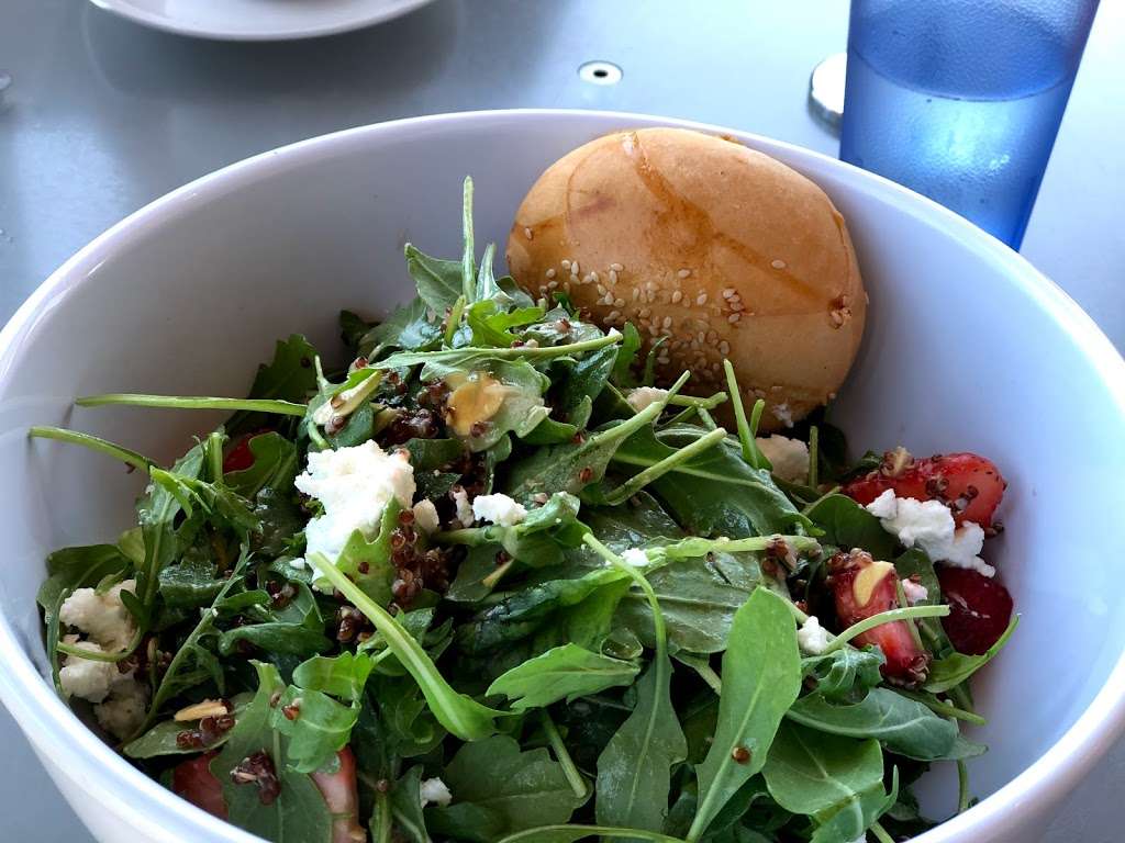 Carolines Seaside Cafe | 8610 Kennel Way, La Jolla, CA 92037, USA | Phone: (858) 202-0569 Carolines Seaside Cafe | 8610 Kennel Way, La Jolla, CA 92037, USA | Phone: (858) 202-0569