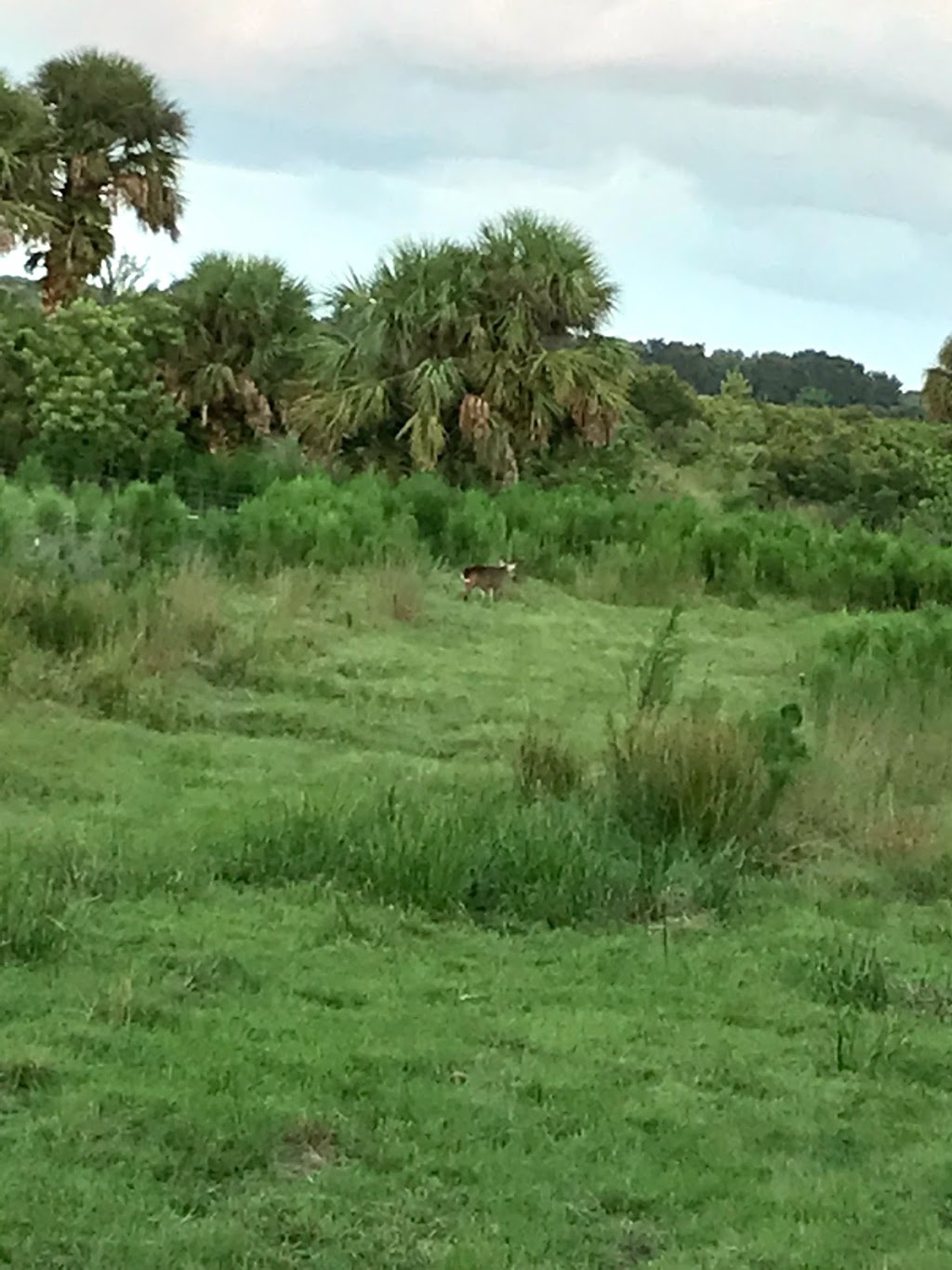 Taylor Creek Reservoir Fish Camp | Taylorwoods Rd, Christmas, FL 32709, USA