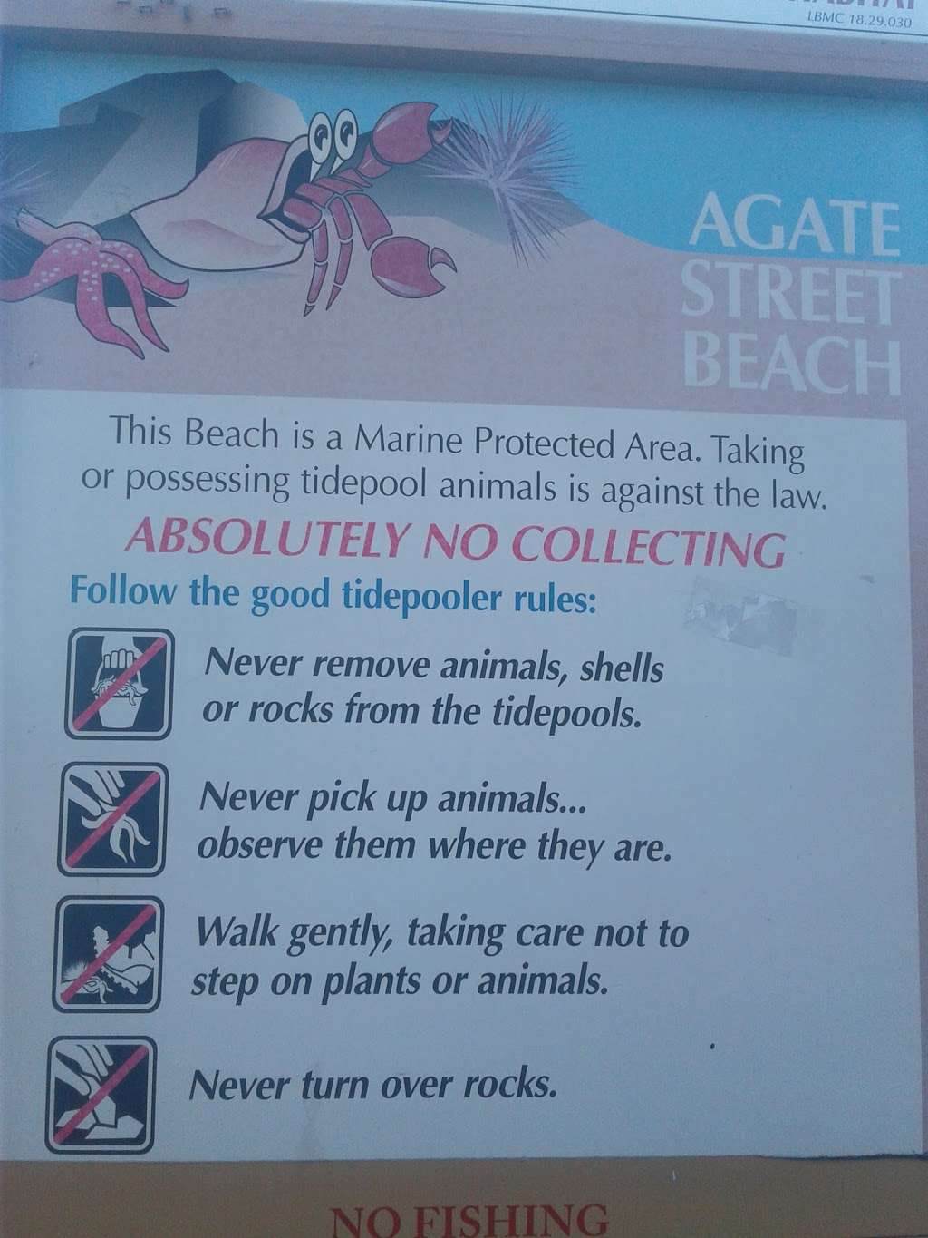 Agate Street Beach | 1715 Ocean Way, Laguna Beach, CA 92651, USA