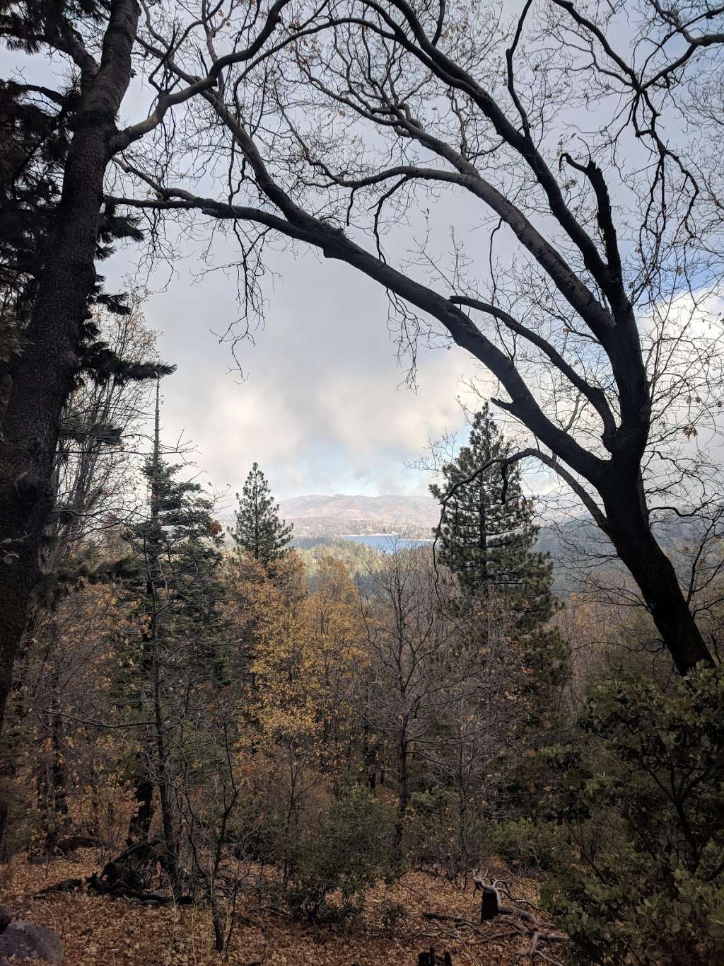 Will Abell Memorial Trail at Arrowhead Ridge | Lake Arrowhead, CA 92352, USA