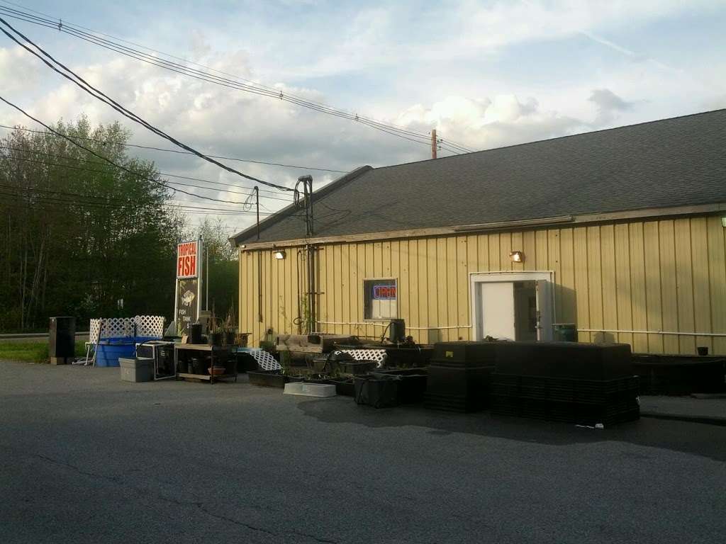 Uncle Neds Fish Factory | 1590 Main St, Millis, MA 02054, USA | Phone: (508) 533-5969