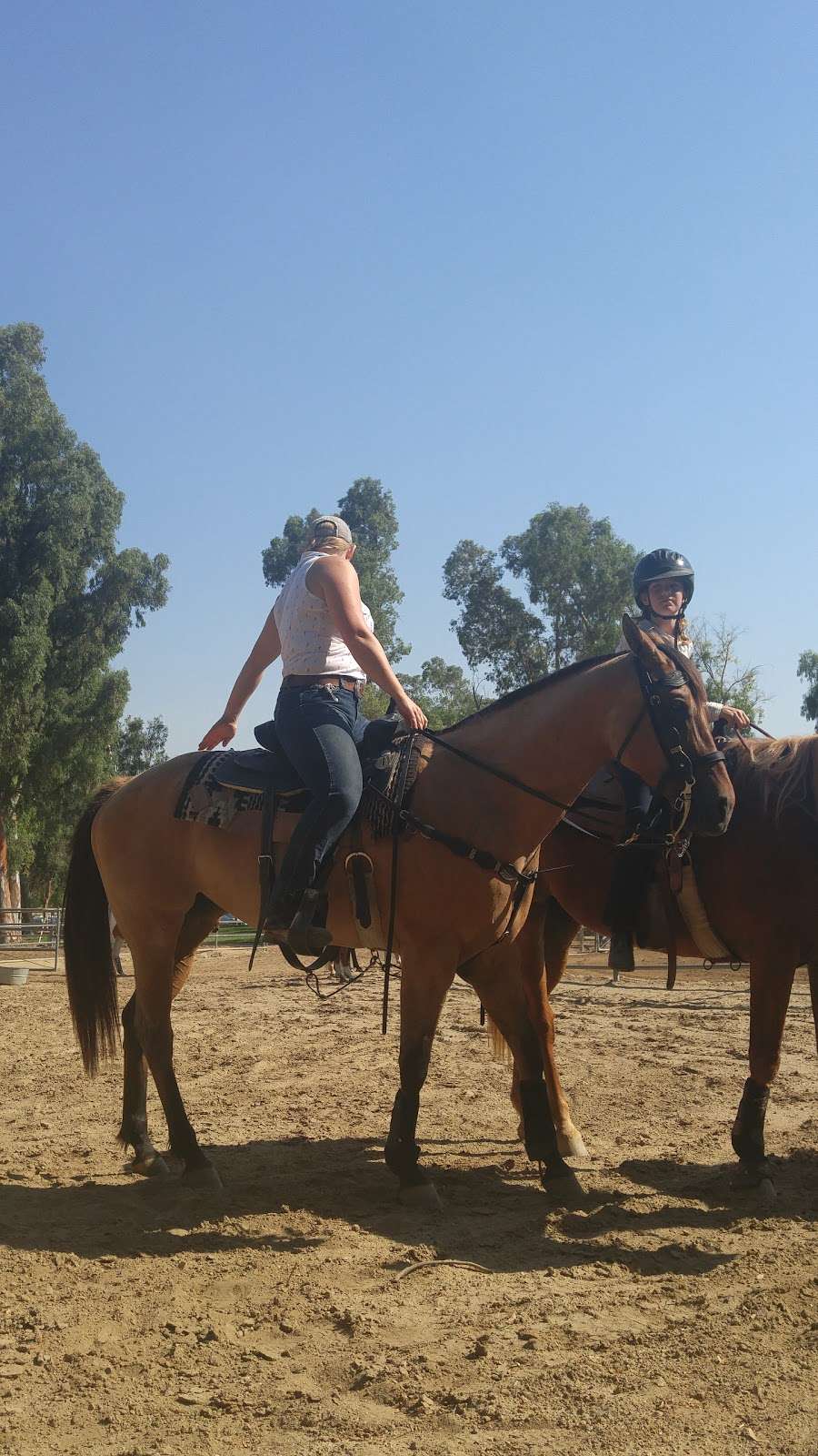 Arroyo Simi Equestrian Center | 2900 Royal Ave, Simi Valley, CA 93065, USA | Phone: (805) 584-4400