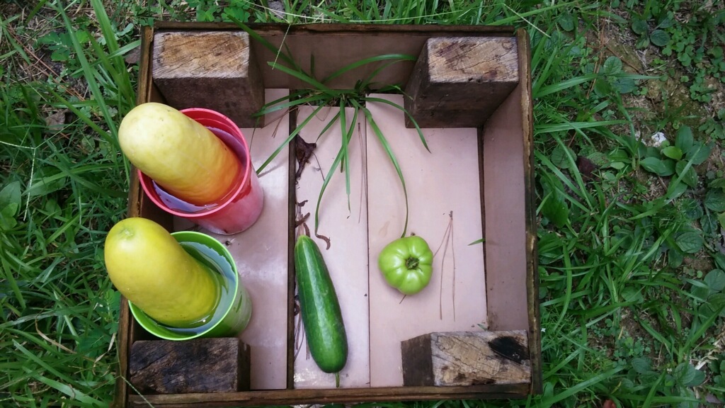 Your Natural Selects | 690 Timbergrove Dr SW, Atlanta, GA 30331, USA | Phone: (678) 369-3431