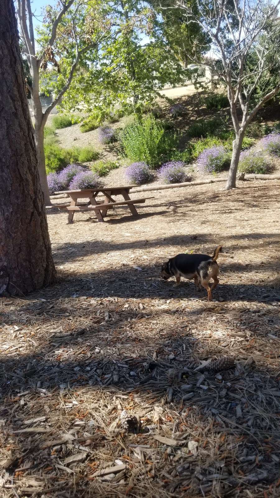 Rice Canyon Demonstration Gardens | Chula Vista, CA 91910, USA