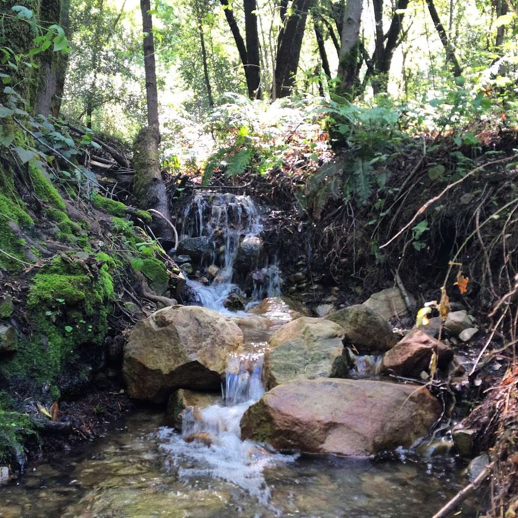 John Nicholas Trailhead in Sanborn County Park | 20409 Black Rd, Los Gatos, CA 95033, USA