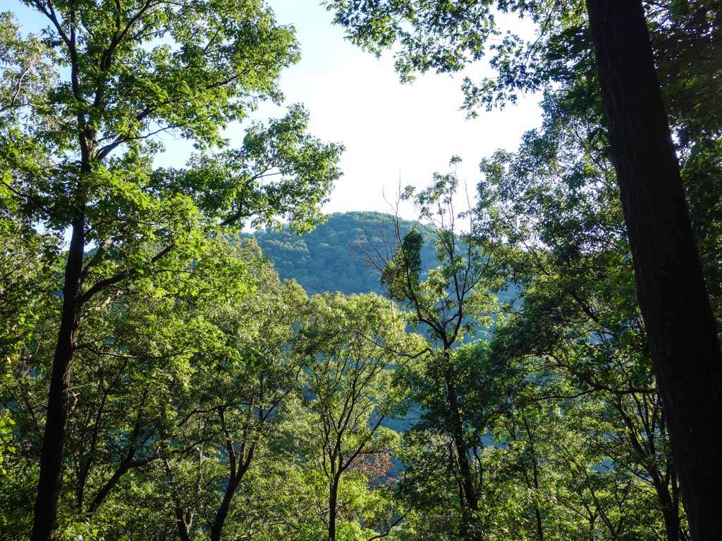 Appalachian Trail | Blue Mountain Rd, Hamburg, PA 19526