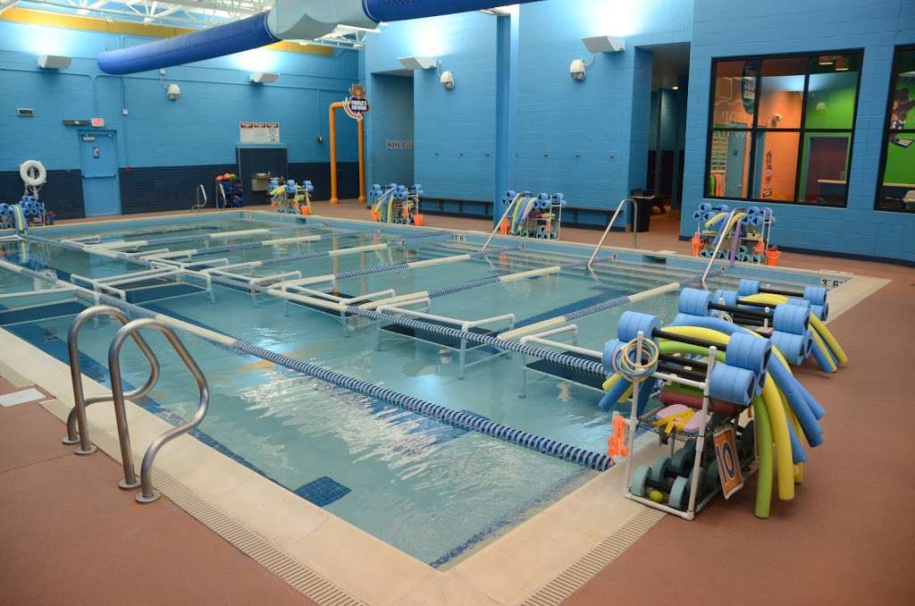 Bear Paddle Swim School | 16124 South La Grange Road, Orland Park, IL 60467, USA | Phone: (630) 692-7946