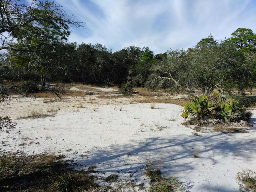 Lake Marion Creek Wildlife Management Area | Eileen Lake Blvd, Haines City, FL 33844 | Phone: (863) 648-3200