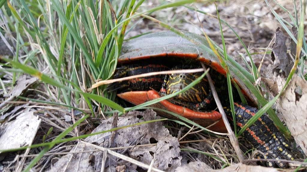 Walden Ponds Wildlife Habitat | Boulder, CO 80301, USA | Phone: (303) 678-6200