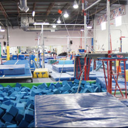 Go for the Gold Gymnastics Academy | 145 Algonquin Pkwy, Whippany, NJ 07981, USA | Phone: (973) 739-9100