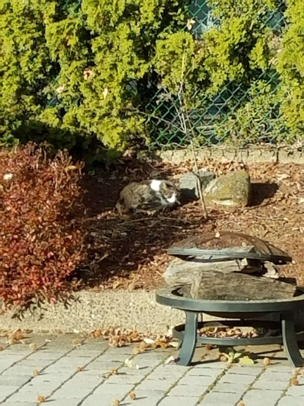 Richmond Parkway | Tillman St, Staten Island, NY 10314, USA