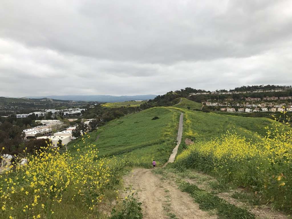 Knob Hill | Calle Cordillera, San Clemente, CA 92672, USA