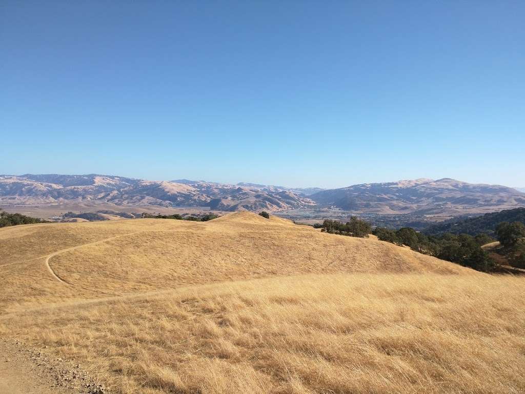 Pleasanton Ridge Regional Park | Foothill Rd, Pleasanton, CA 94588, USA | Phone: (510) 544-3030