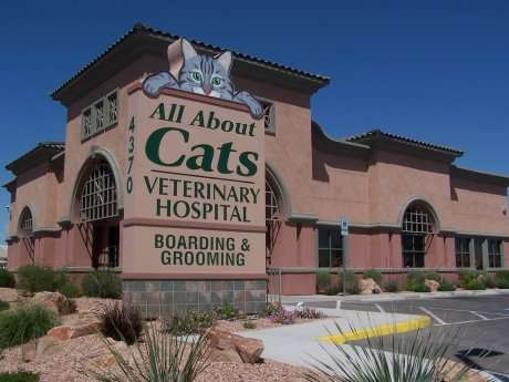 All About Cats Veterinary Hospital | 4370 S Durango Dr, Las Vegas, NV 89147 | Phone: (702) 257-3222