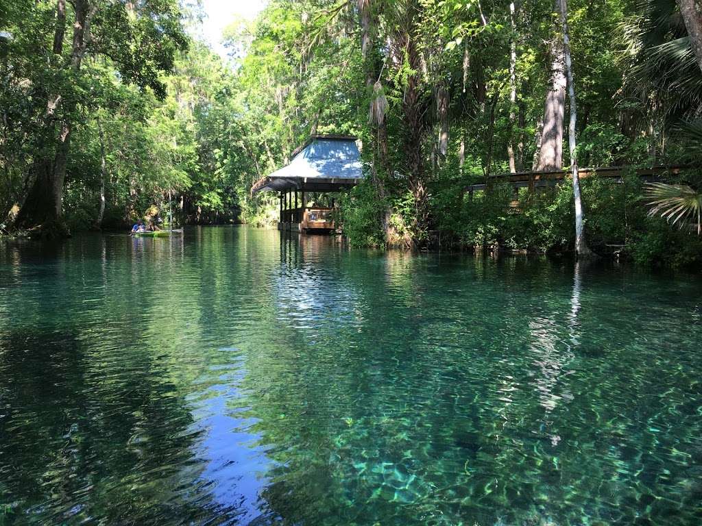 Glass Bottom Boat Tours at Silver Springs | 5656 E Silver Springs Blvd, Silver Springs, FL 34488, USA | Phone: (352) 261-5840