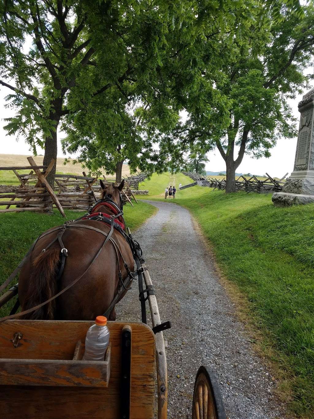 Bonnymeed Farms | 1212 River Rd, Shepherdstown, WV 25443 | Phone: (304) 876-1307