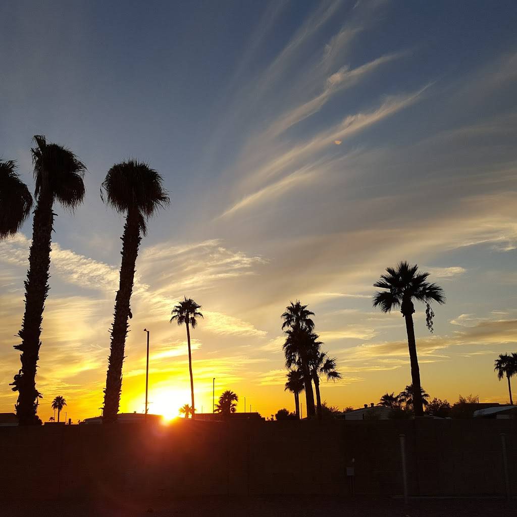 Blue Star RV Resort | 11050 E Apache Trail, Apache Junction, AZ 85120, USA | Phone: (480) 984-5570