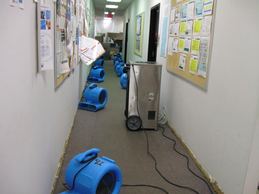 Water Damage Experts NYC | 1461 Shore Pkwy, Brooklyn, NY 11214, USA | Phone: (347) 499-3919