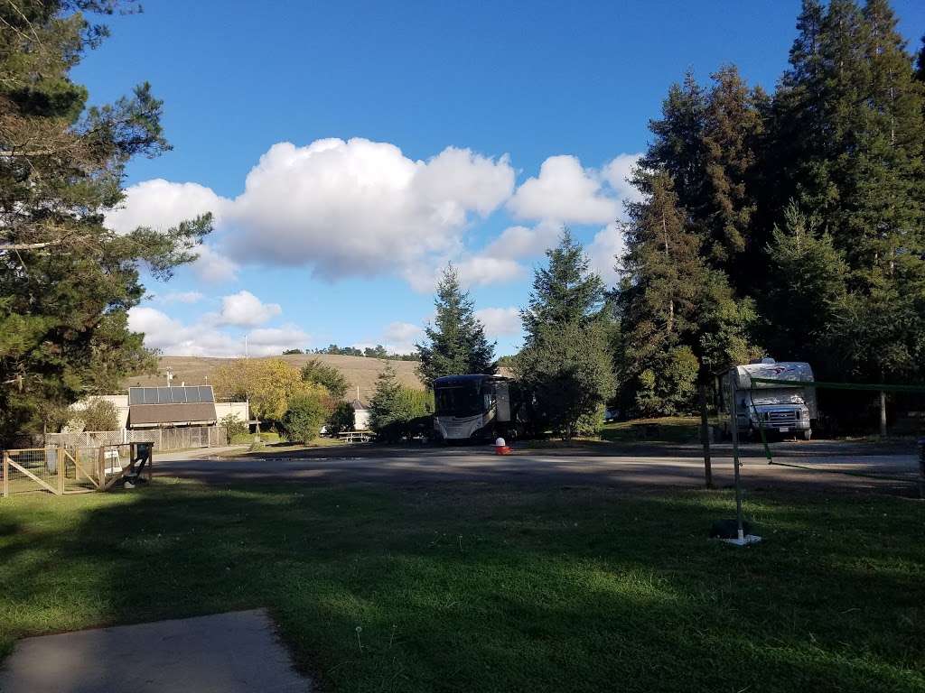 Olema Campground | 10155 CA-1, Olema, CA 94950, USA | Phone: (415) 663-8106