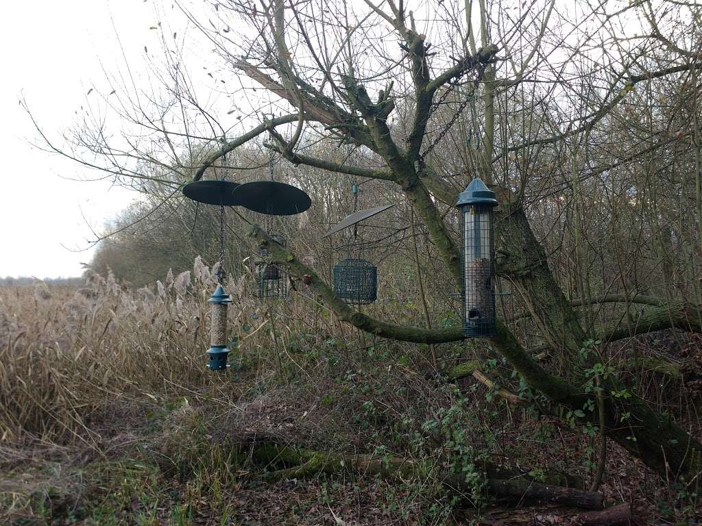 Amwell Quarry Nature Reserve | Ware SG12, UK