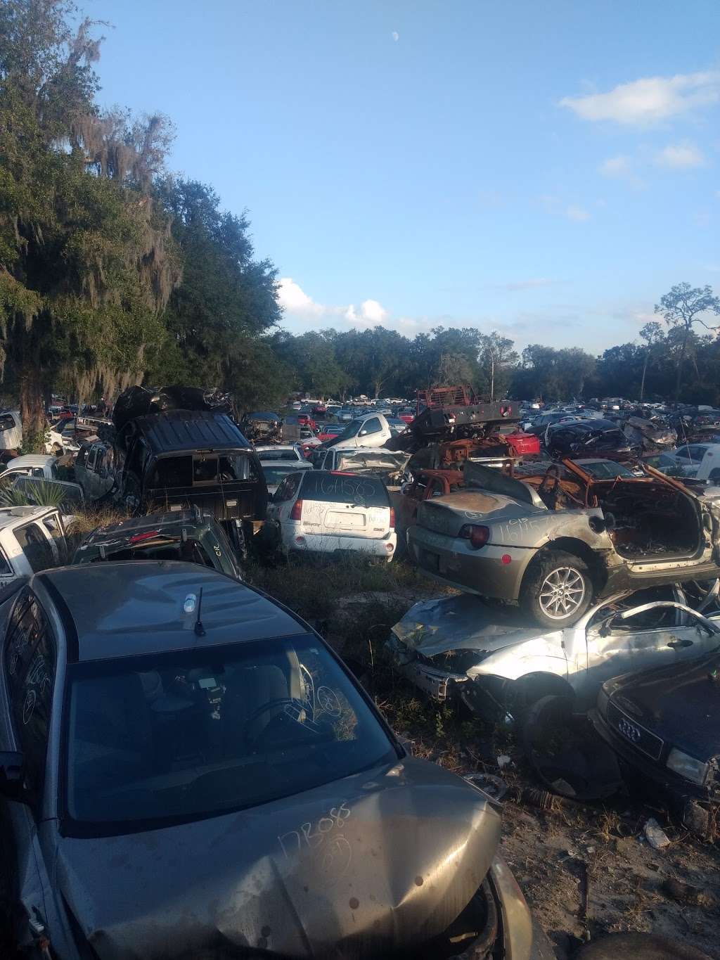 B & S Auto Salvage | 3637 N, US-301, Wildwood, FL 34785, USA | Phone: (352) 748-1150