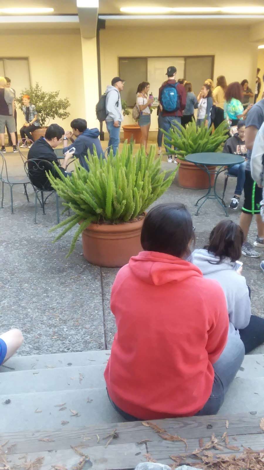 Stevenson Coffee House | Cowell-Stevenson Road, Santa Cruz, CA 95064, USA | Phone: (831) 459-2433