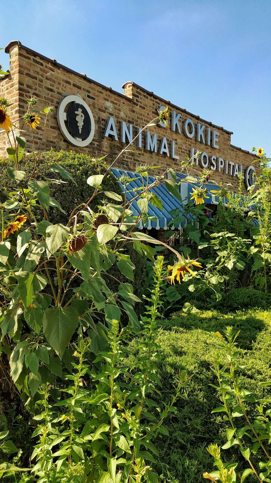 Skokie Animal Hospital | 7550 Lincoln Ave, Skokie, IL 60077, USA | Phone: (847) 673-3100