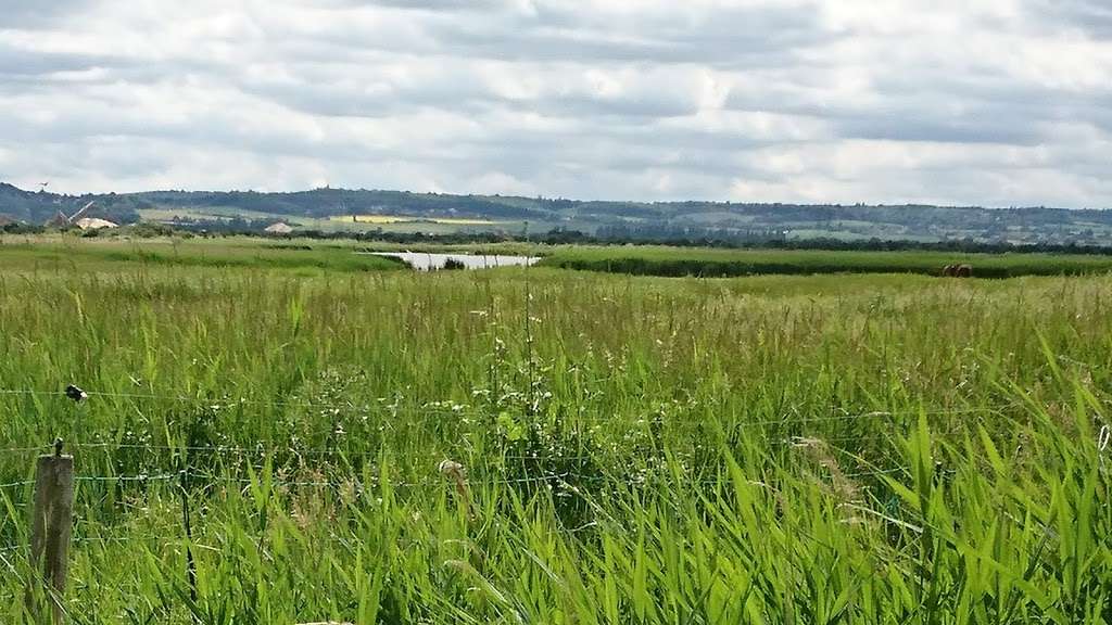 RSPB Cliffe Pools | Cliffe and Cliffe Woods, Rochester, UK