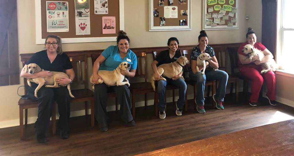 Cross Point Veterinary Clinic, PLLC | 5248 Co Rd 3567, Taft, TX 78390, USA | Phone: (361) 528-5269