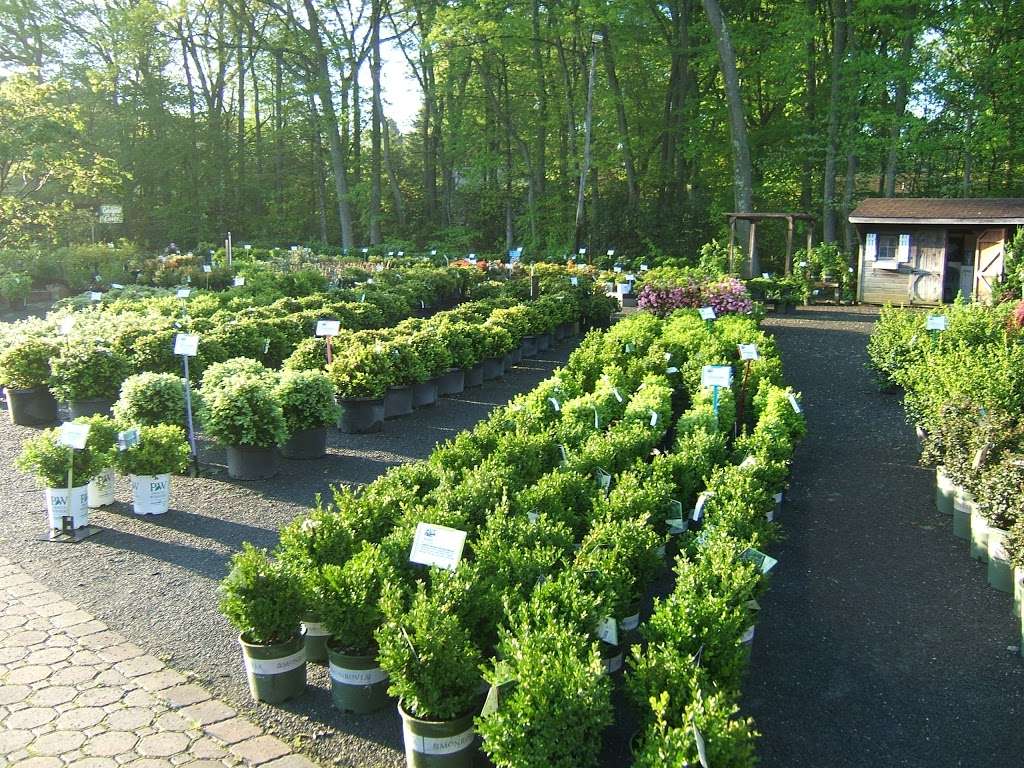 Molzon Landscape Nursery | 140 Middletown-Lincroft Rd, Lincroft, NJ 07738, USA | Phone: (732) 741-9098