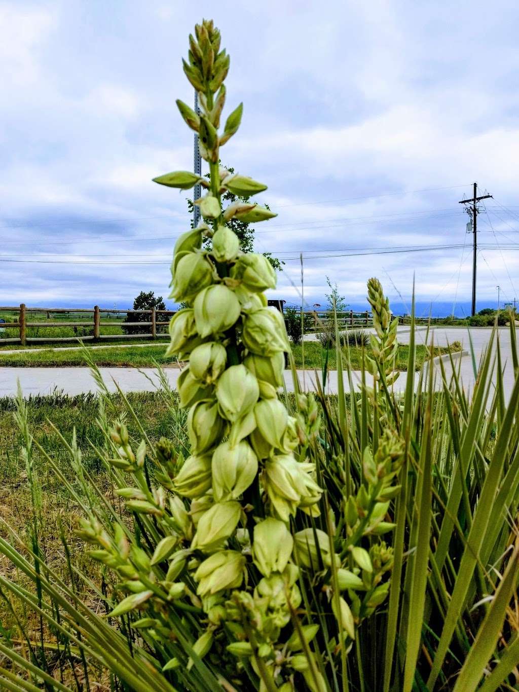 St Vrain Greenway parking | 10552 E County Line Rd, Longmont, CO 80501, USA