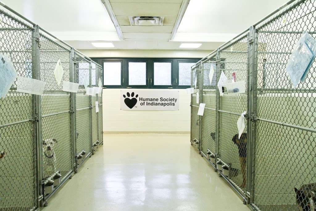 IndyHumane | 7929 N Michigan Rd, Indianapolis, IN 46268 | Phone: (317) 872-5650