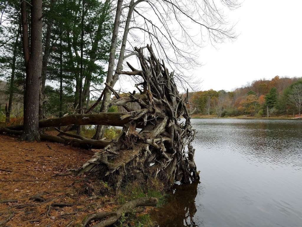 Mill Pond Recreation Area | 693 Main St, West Newbury, MA 01985