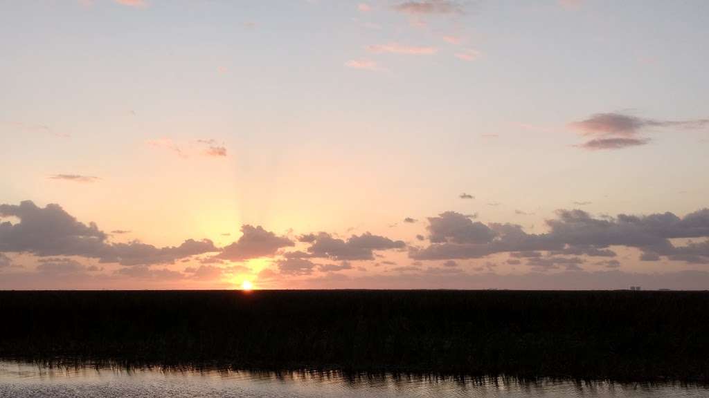 Alligator Alley Butterfly View | Unnamed Road, Tamarac, FL 33321, USA