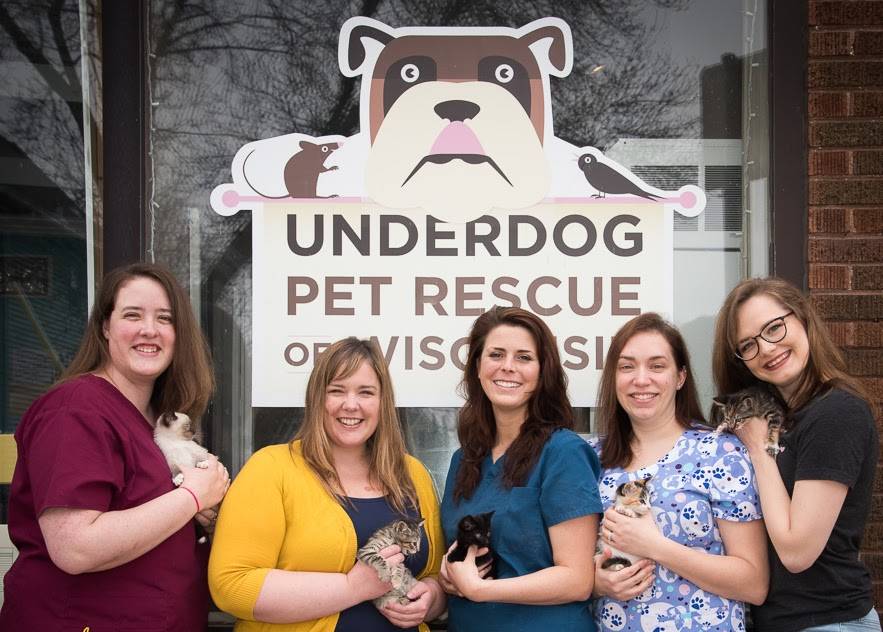 Underdog Veterinary Services | 231 S Fair Oaks Ave #5860, Madison, WI 53704, USA | Phone: (608) 268-7060