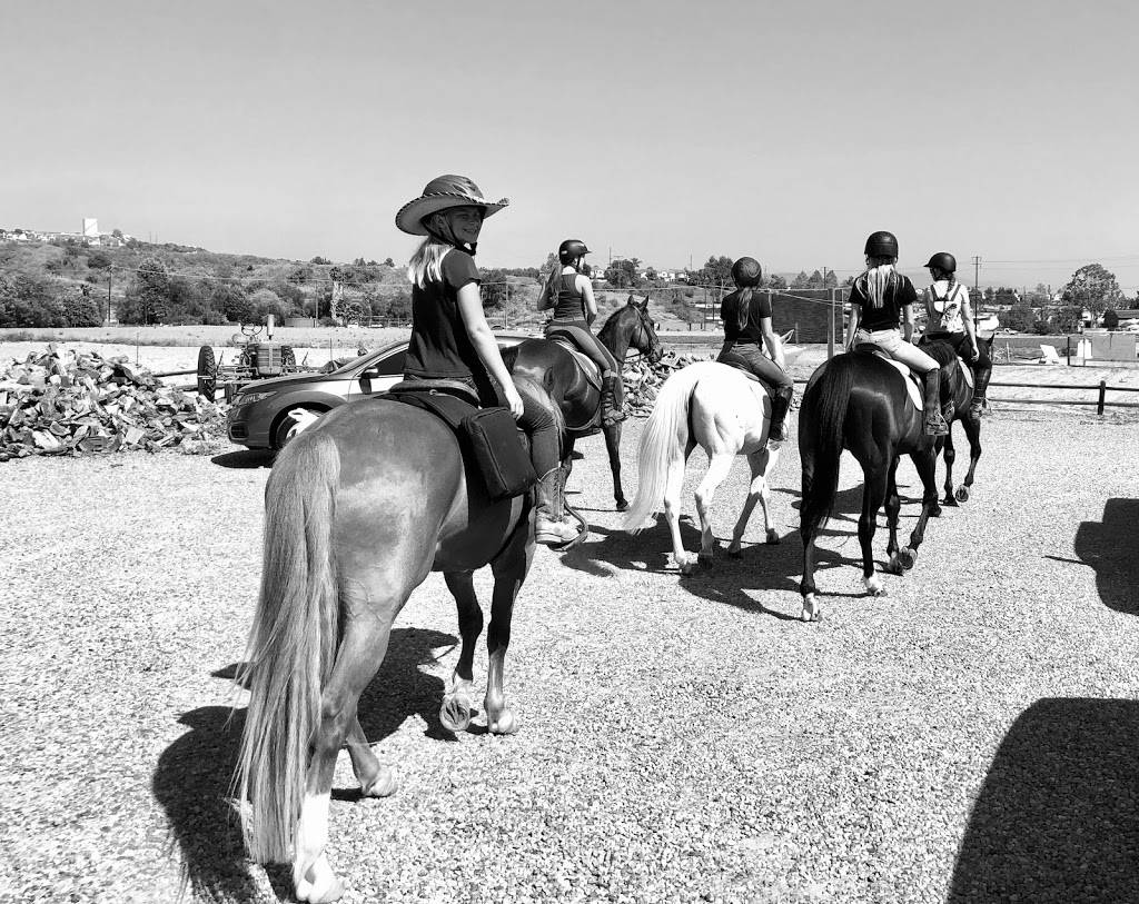 High Valley Horses | 4449 Carbon Canyon Rd, Brea, CA 92823, USA | Phone: (714) 267-3049