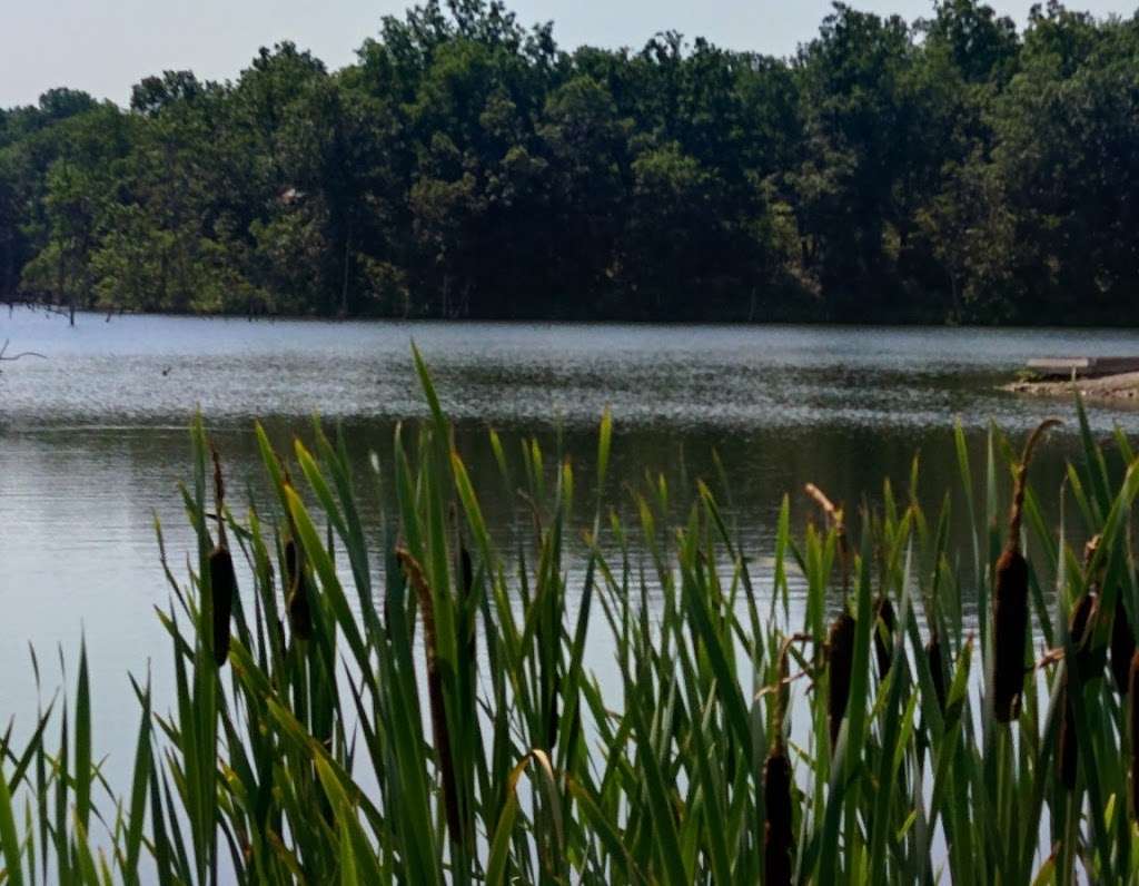 Lone Jack Lake Conservation Area | Lees Summit Road & S Brown Rd, Lees Summit, MO 64086, USA