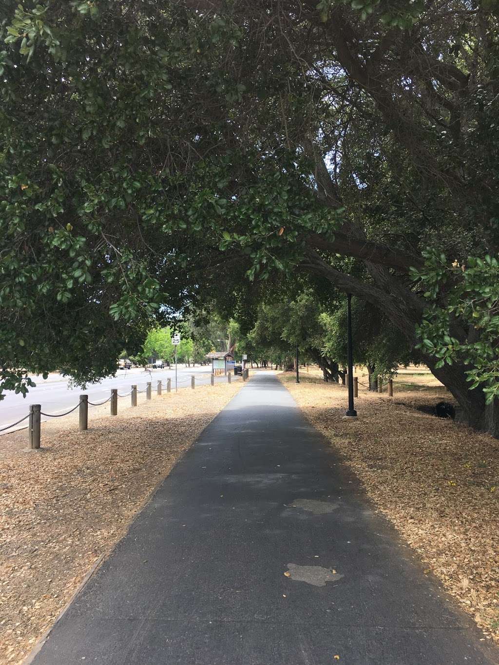 General Lot 8 | Palo Alto, CA 94301