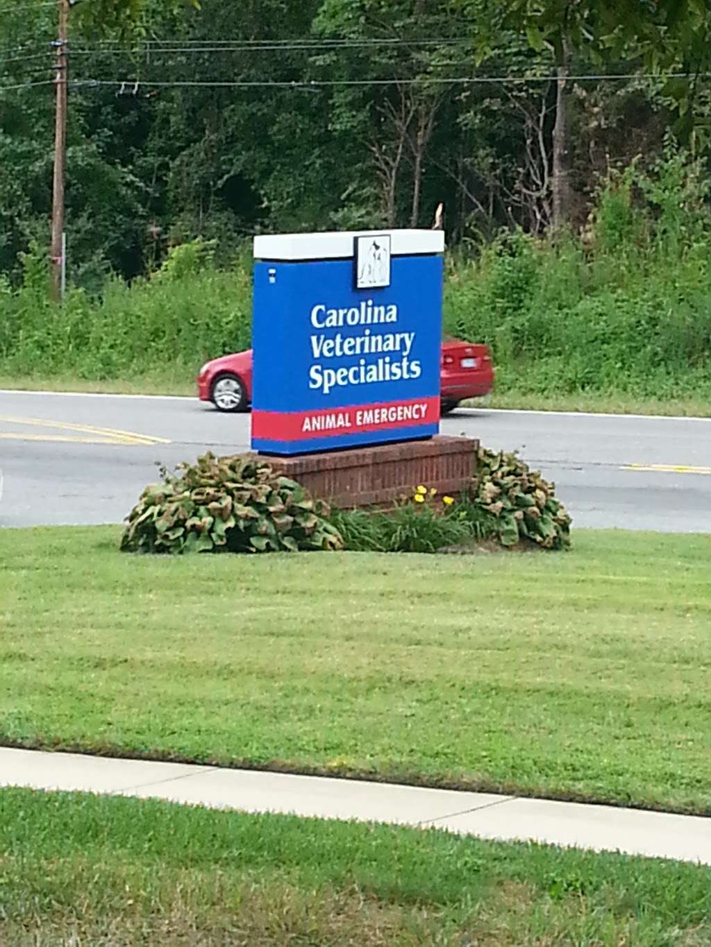 Carolina Vet Huntersville | 12117 Statesville Rd, Huntersville, NC 28078, USA | Phone: (704) 949-1100