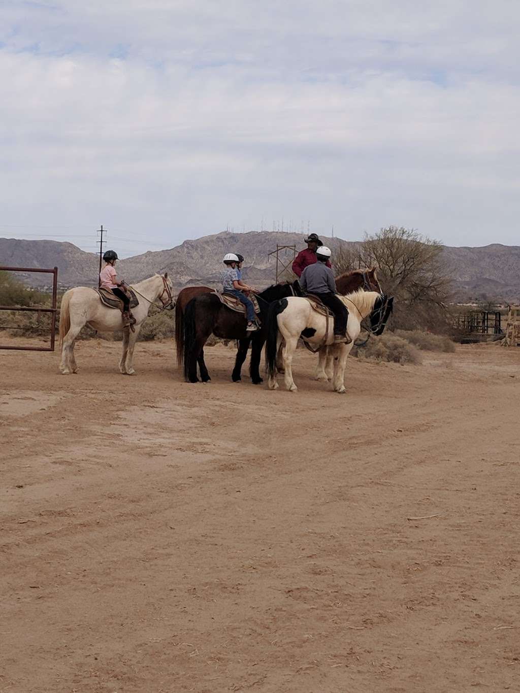 KOLI Equestrian Center | 6940 W BROKEN EAR RD, Chandler, AZ 85226, USA | Phone: (602) 796-3495