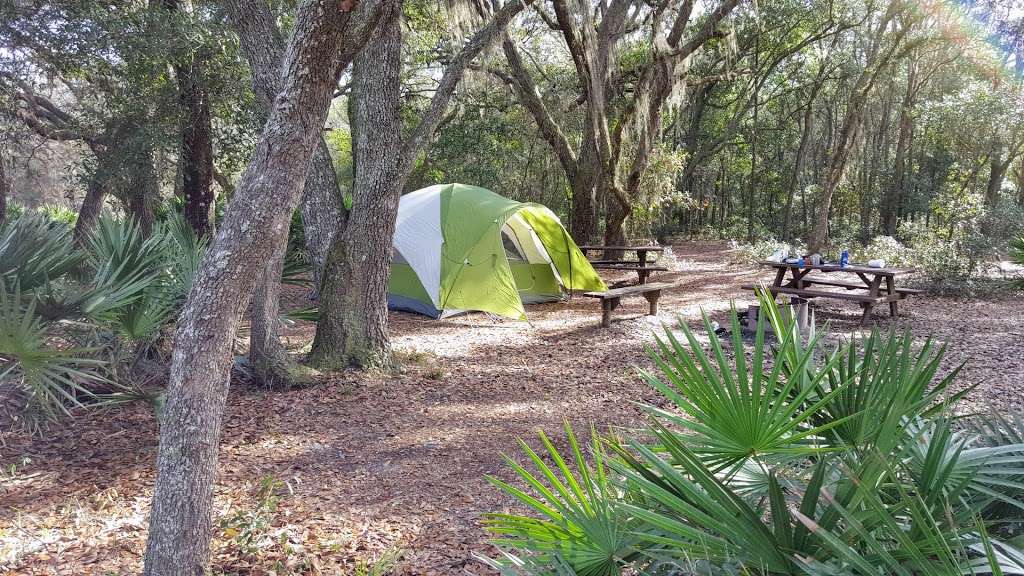 Foster Bridge Campsite (Backcountry) | Dade City, FL 33525, USA