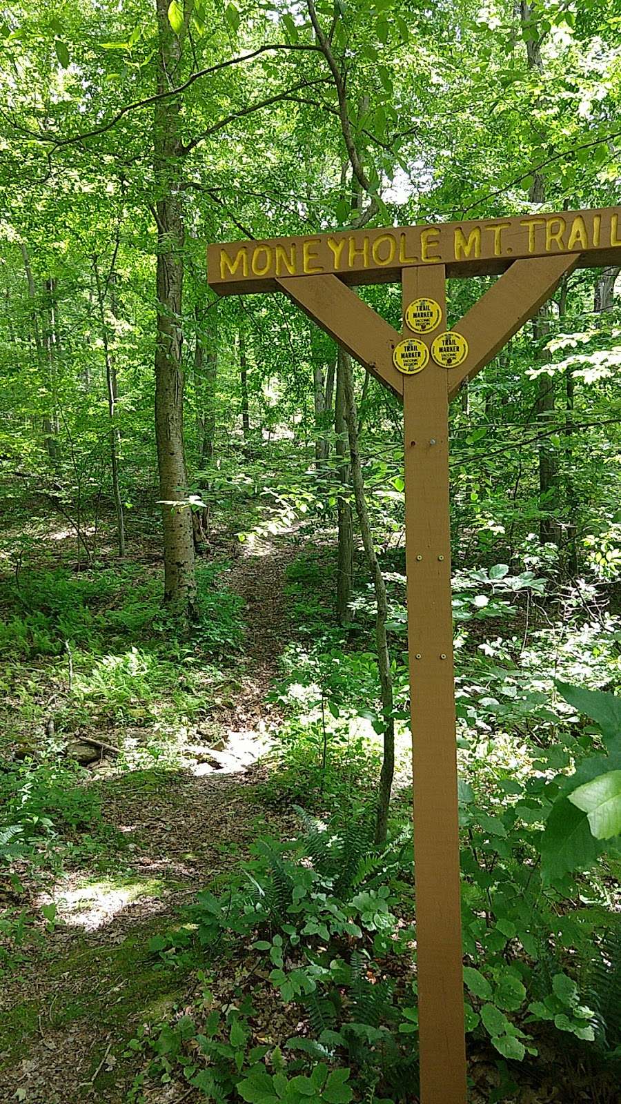 Moneyhole Mt. Trail | 774-700 Indian Brook Rd, Garrison, NY 10524, USA