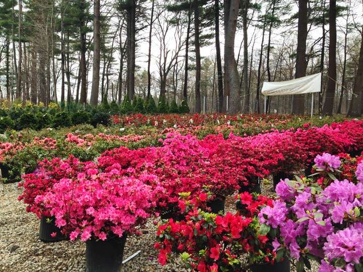 Hopkinton Stone & Garden, Inc. | 32 Lumber St, Hopkinton, MA 01748, USA | Phone: (844) 746-5581