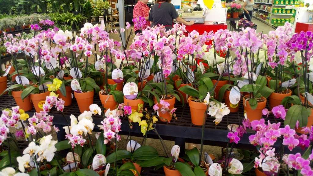 Houston Garden Centers | 20080 Holzwarth Rd, Spring, TX 77388 | Phone: (281) 288-7574