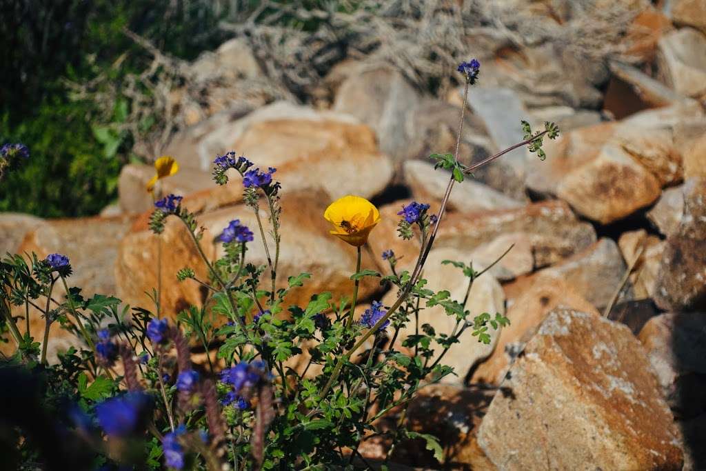 Gateway Trailhead - McDowell Sonoran Preserve | 18333 N Thompson Peak Pkwy, Scottsdale, AZ 85255, USA | Phone: (480) 998-7971